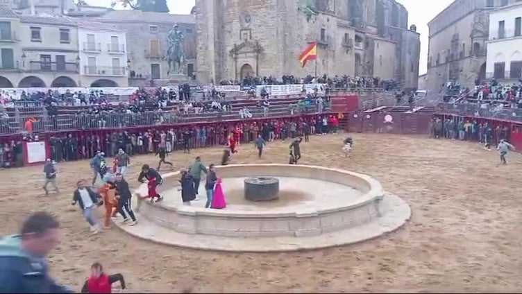 Herido un hombre por una fuerte cogida en la capea de Trujillo