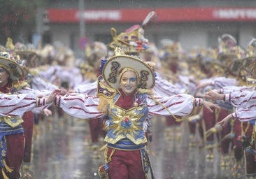 Las mejores imágenes del Gran Desfile de Comparsas del Carnaval de Badajoz 2025 (VI)