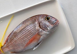 Estos son los pescados con más mercurio y sus riesgos según la OCU