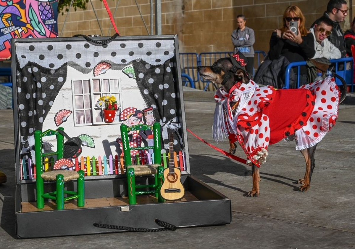 Suca con su tablao flamenco en el concurso de disfraces de mascotas de Badajoz.