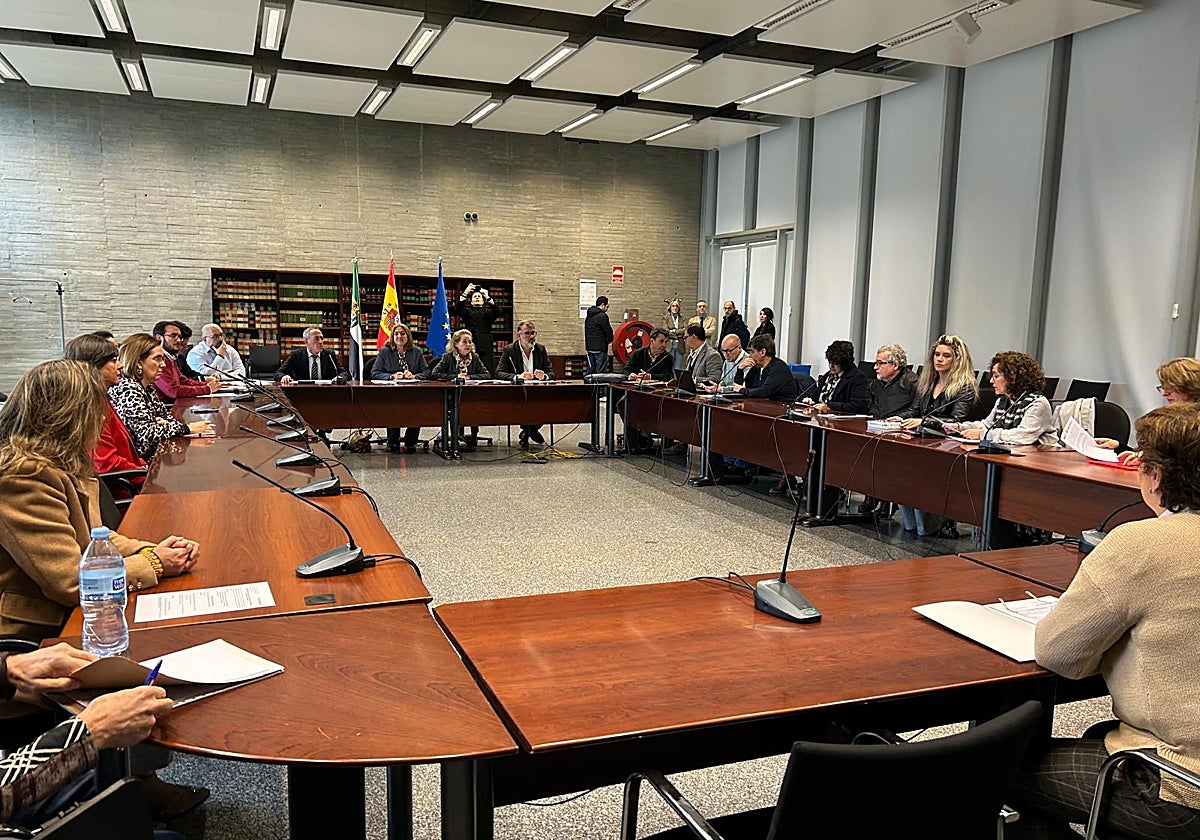 Reunión del pleno del observatorio de convivencia escolar esta mañana.