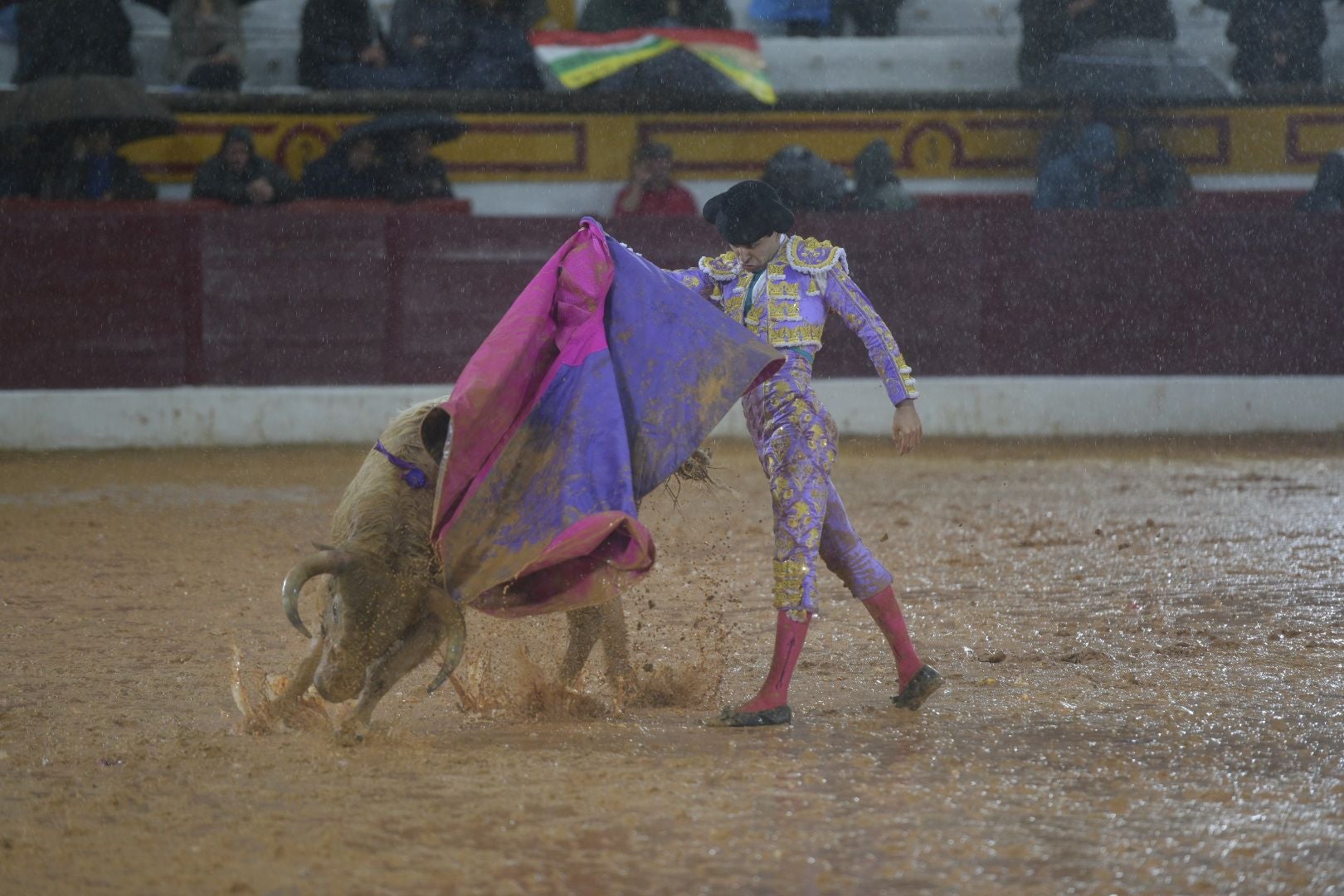 La novillada que abrió la feria de Olivenza, en imágenes