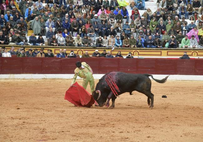 Marco Pérez, con la muleta.