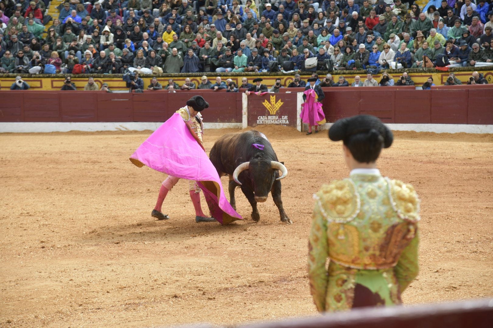 La novillada dominical de Olivenza, en imágenes