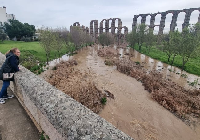 Una mujer comprueba el aumento del agua del arroyo Albarregas junto al acueducto de Los Milagros, en Mérida.