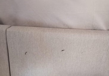 Marcas de cuchilladas en el sofá del piso tutelado.