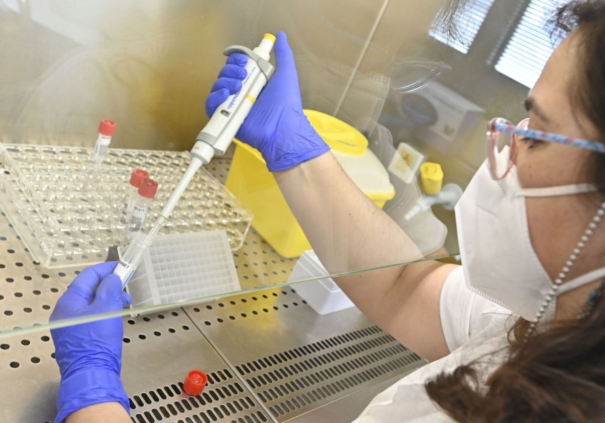 Proceso de secuenciación de una prueba covid en el Hospital Universitario de Badajoz.