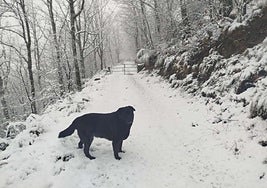 Tornavacas bajo la nieve