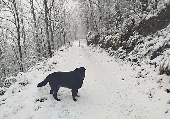 Tornavacas bajo la nieve