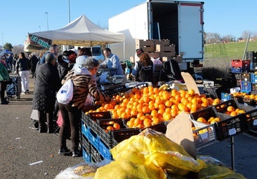 Mateos aplaza la votación sobre el traslado del mercado junto al cementerio de Cáceres