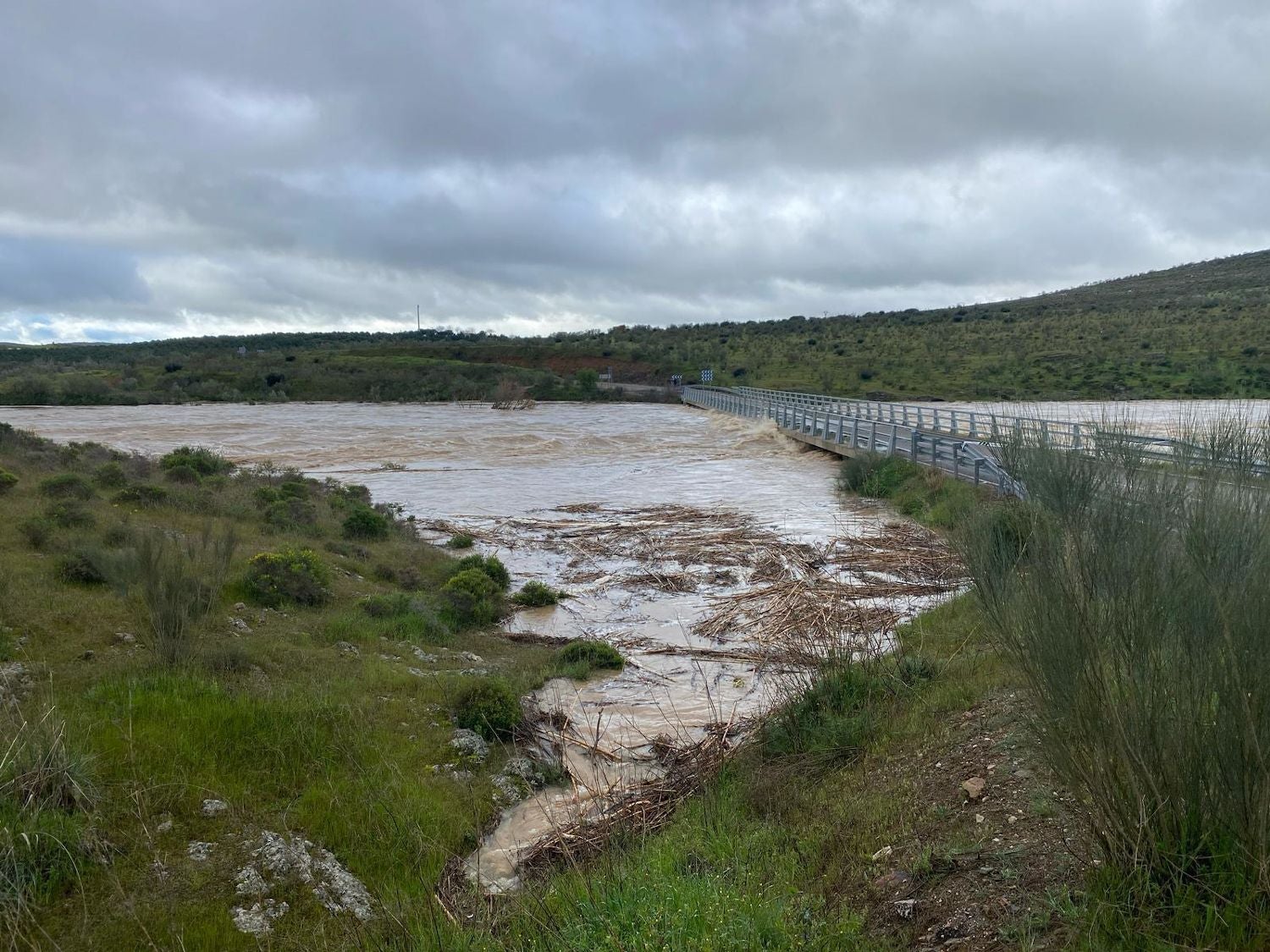 Nivel del río Matachel, a la altura de la BA-079, que conecta Hornachos Hinojosa