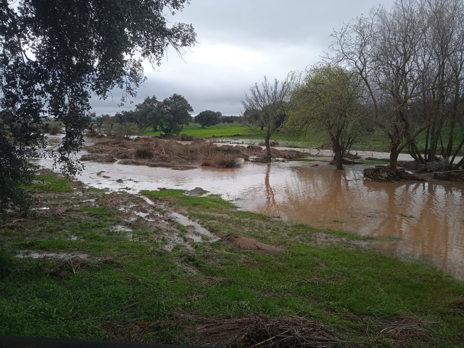 Yacimiento de Cancho Roano.
