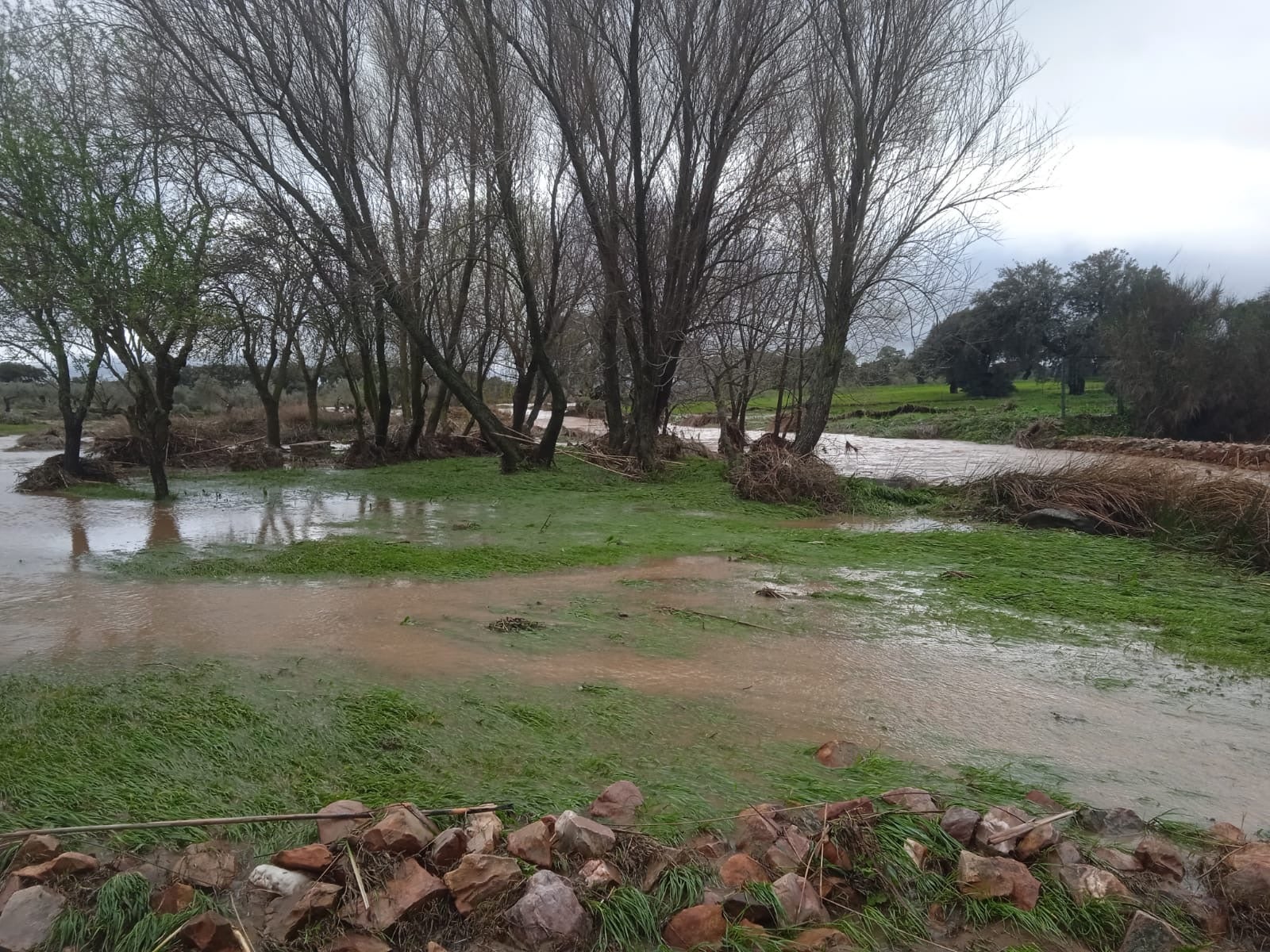 Yacimiento de Cancho Roano.