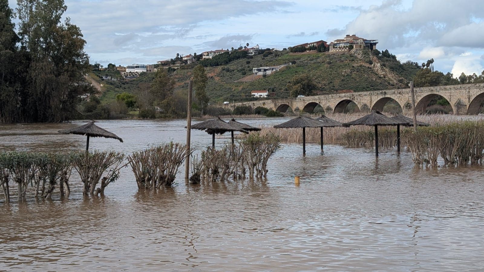 Fotos | Así está Medellín tras la crecida del Guadiana y el Ortiga