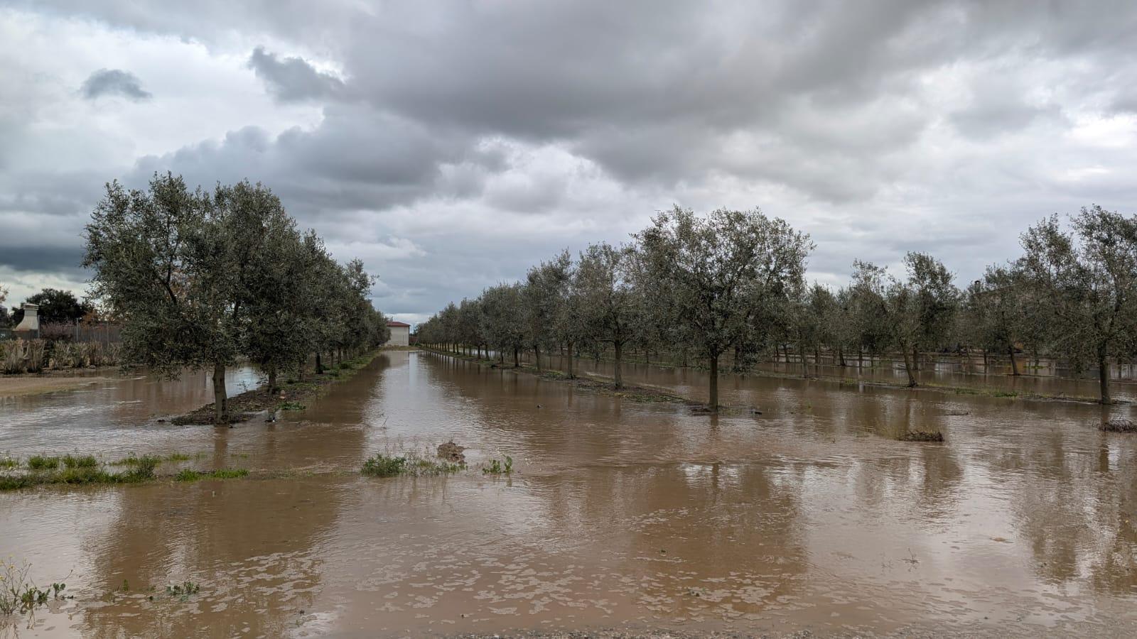 Caminos inundados y casas aisladas en Medellín por la crecida del río Ortiga