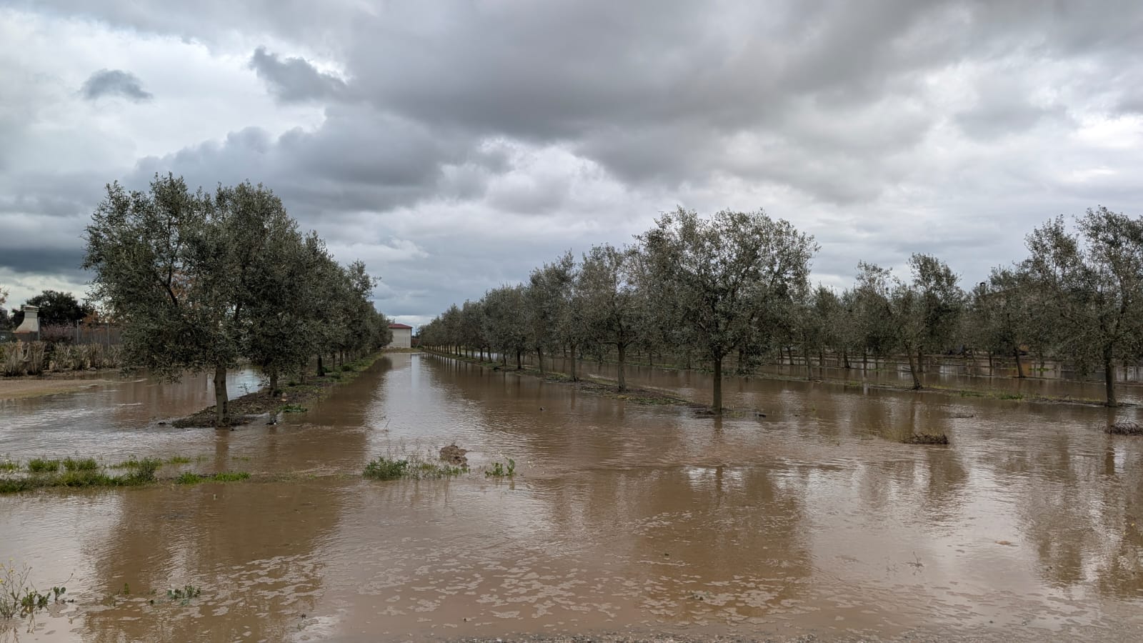 Fotos | Así está Medellín tras la crecida del Guadiana y el Ortiga