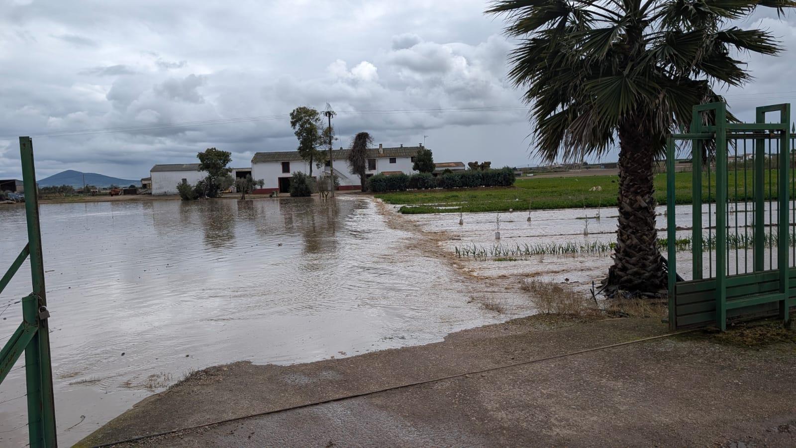 Caminos inundados y casas aisladas en Medellín por la crecida del río Ortiga