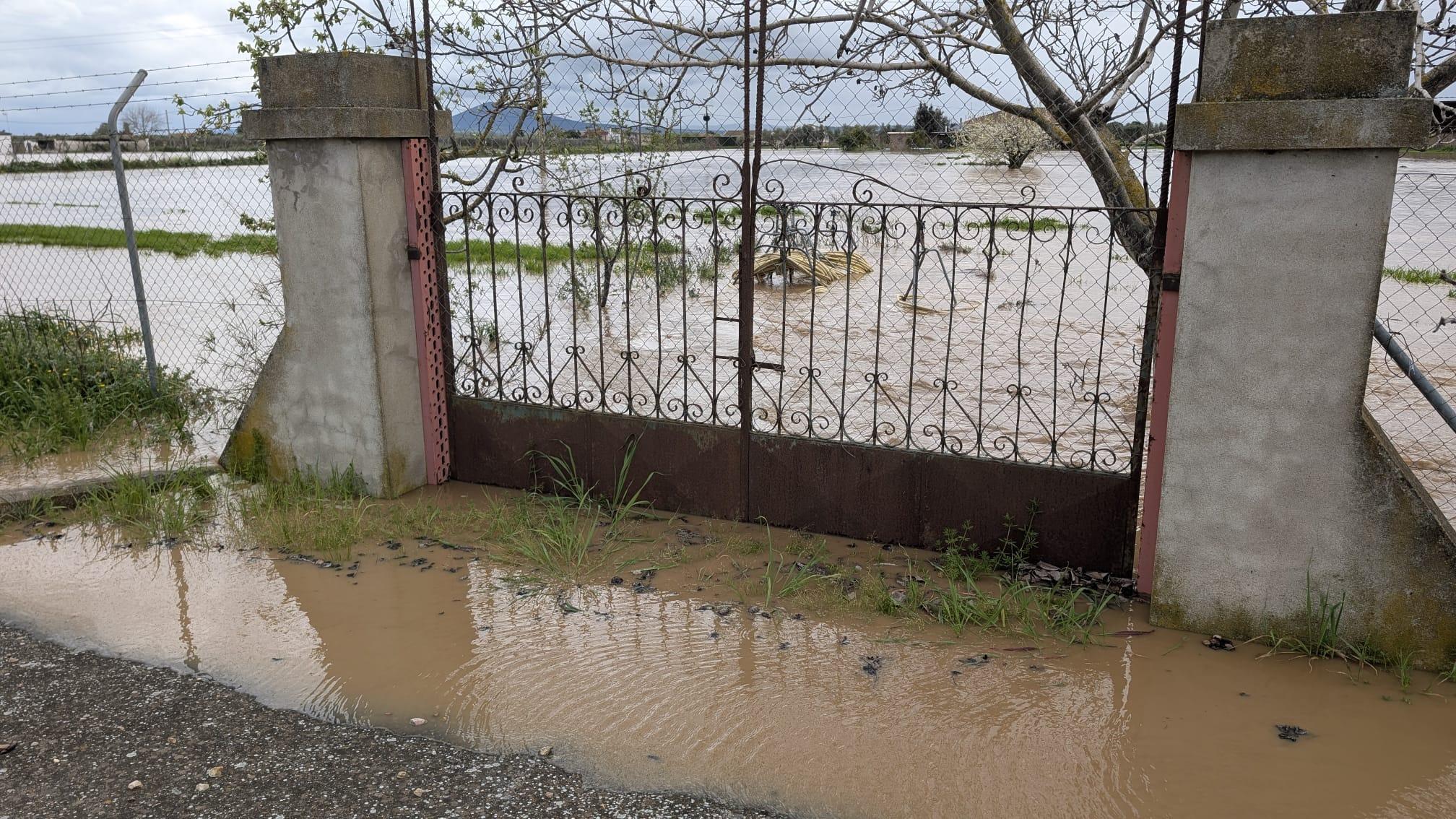 Caminos inundados y casas aisladas en Medellín por la crecida del río Ortiga