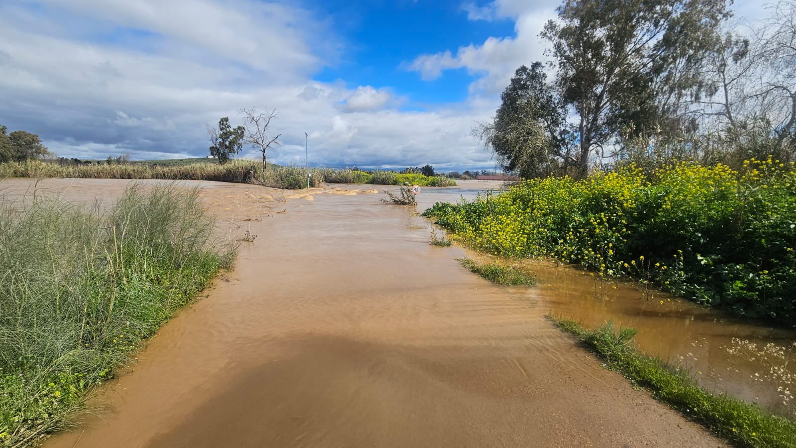 El arroyo Molar se ha desbordado inundando frutales cerca de Villanueva de la Serena