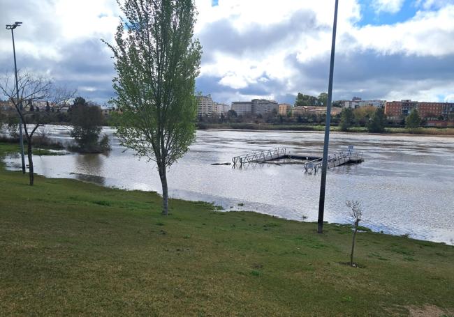 Situación del Guadiana a la altura del parque del río.