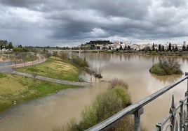 Nivel del río Guadina a su paso por Badajoz.