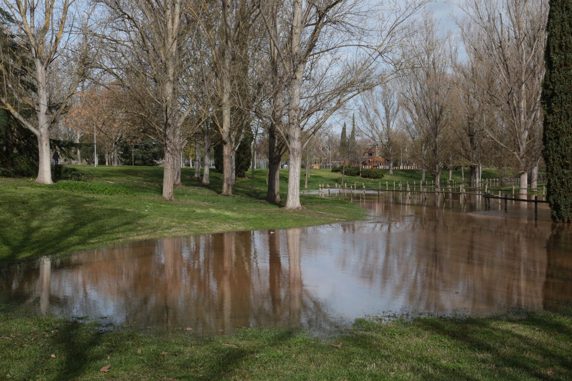 Imágenes: así va el río Guadiana a su paso por Mérida