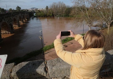 Imágenes: así va el río Guadiana a su paso por Mérida