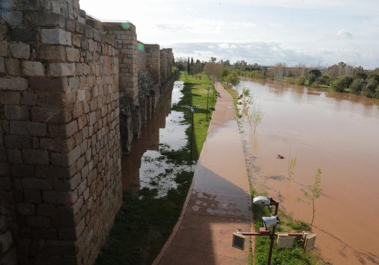 Paseos junto al cauce del río inundados.