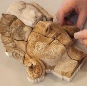 Los Rostros del Turuñuelo ya están colocados en la sala Tarteso