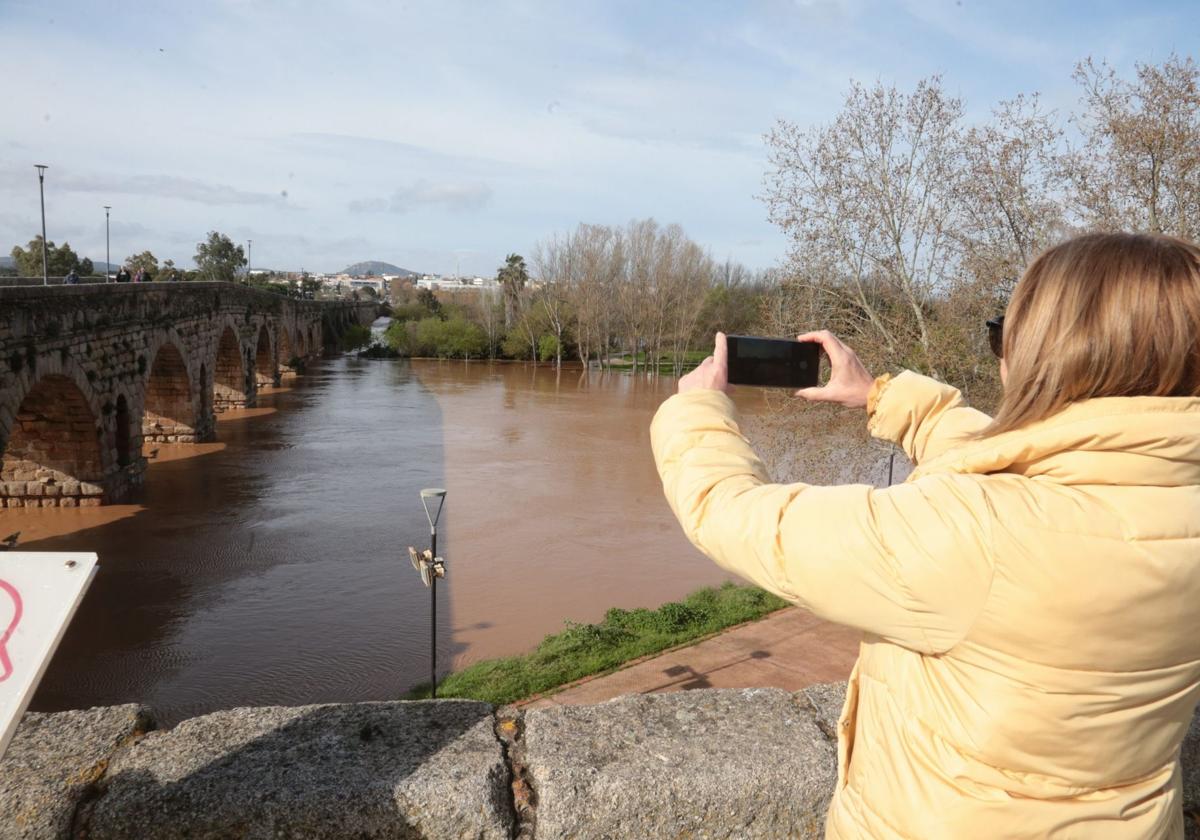 Imagen de la crecida del Guadiana en Mérida.