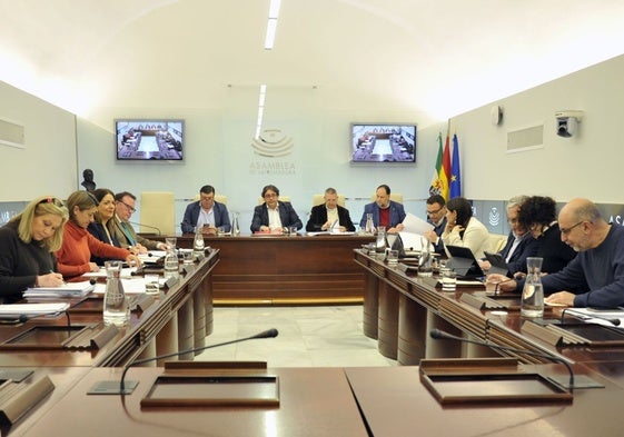 Reunión de la Comisión de Hacienda en la Asamblea de Extremadura para votar el proyecto de ley.
