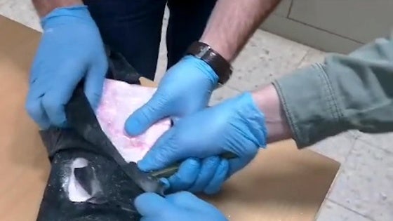 Cocaína intervenida.