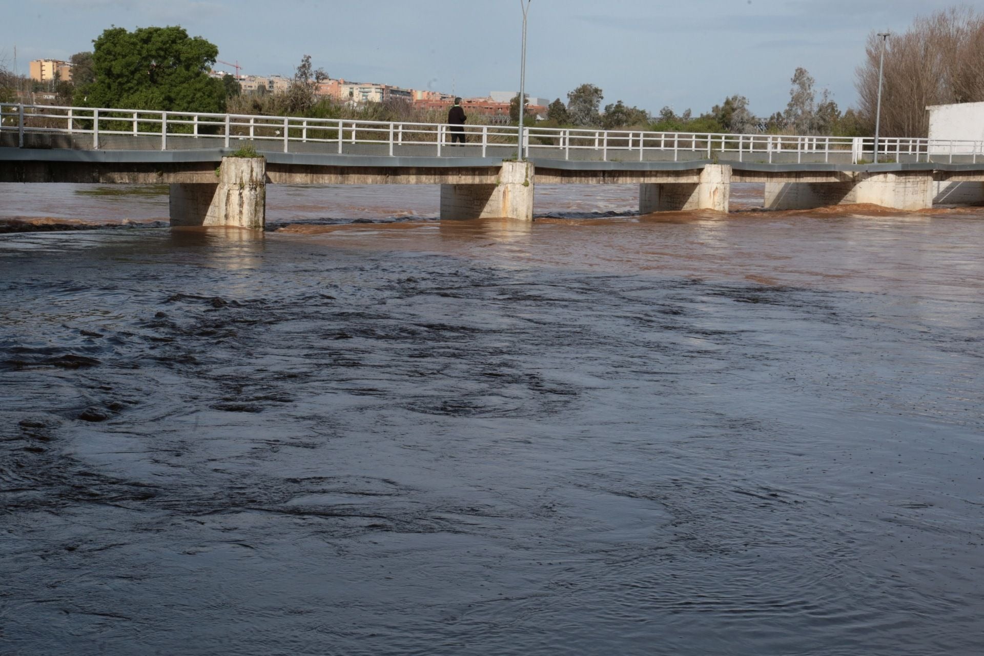 El río Guadiana, a su paso por Mérida, este miércoles.