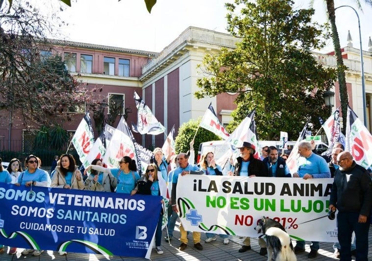 Los veterinarios extremeños se concentran por las limitaciones en el uso de medicamentos