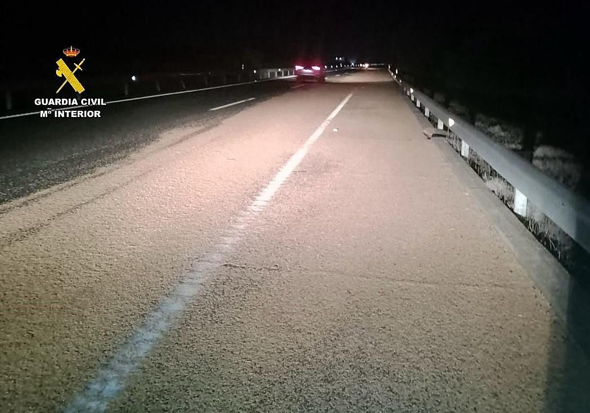 Cebada esparcida en la Autovía A-66.