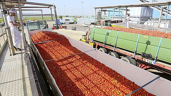 Estos son los nueve productos extremeños más perjudicados por los aranceles de Trump