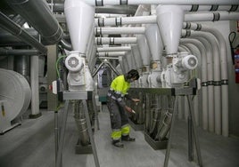 Uno de los operarios de la empresa comprueba el resultado de la molienda de una de las líneas.