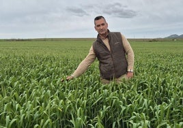 Jesús Manuel Calderón cultiva arroz, cereal y almendro.