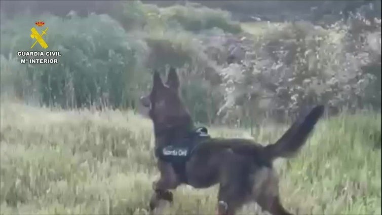 Buscan a un hombre de 65 años desaparecido desde el sábado en Zarza de Montánchez