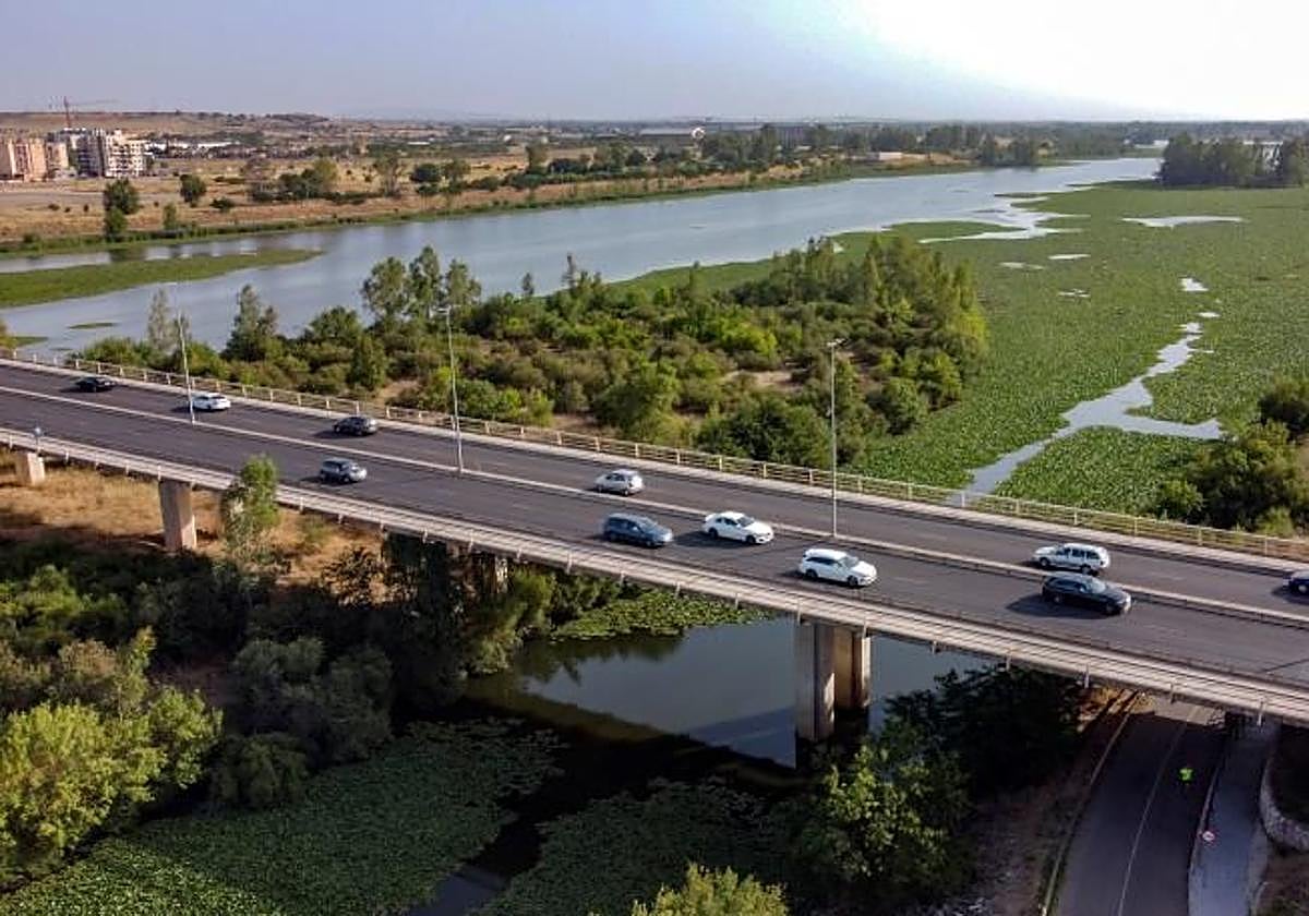 Imagen de archivo del año pasado de nenúfar mejicano en el rio Guadiana a su paso por Badajoz.