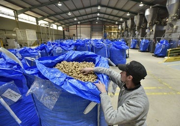 El plan extremeño frente a los aranceles pasa por reducir costes y abrir nuevos mercados