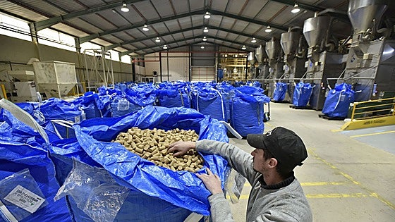 El plan extremeño frente a los aranceles pasa por reducir costes y abrir nuevos mercados