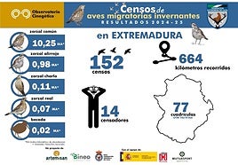 Infografía del censo de aves migratorias invernantes en Extremadura de la campaña desarrollada entre noviembre y febrero.