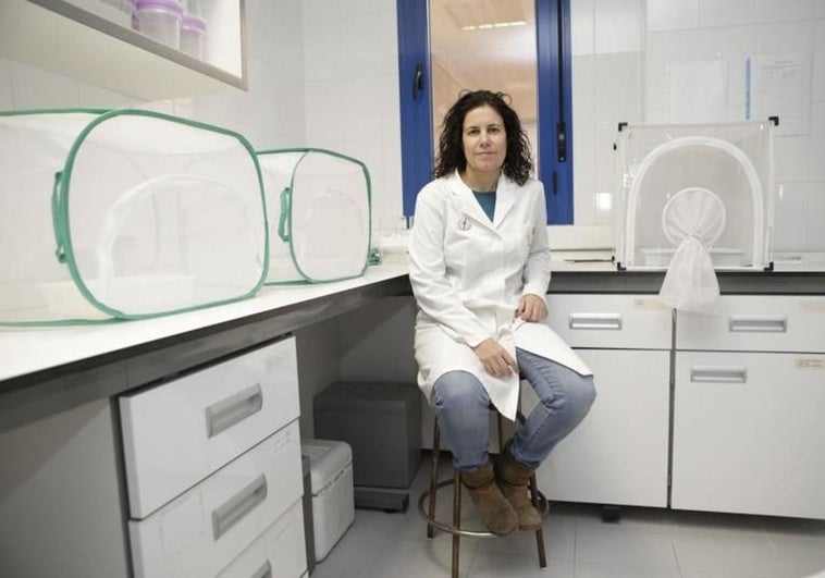 Extremadura se prepara para hacer frente al virus del Nilo