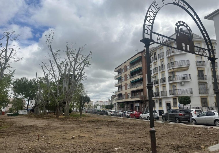 Urbanismo retira los árboles enfermos del parque López de Ayala de Mérida