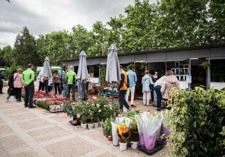El mercado de las flores de Mérida tendrá 2.000 plantas de doscientas variedades