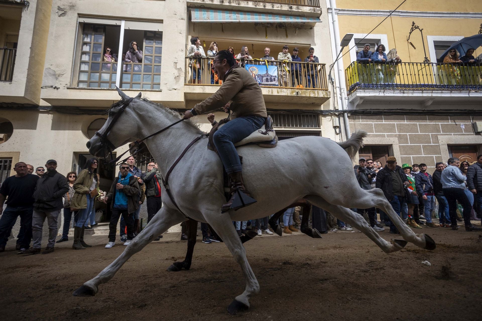 Así han cruzado los jinetes por La Corredera de Arroyo de la Luz
