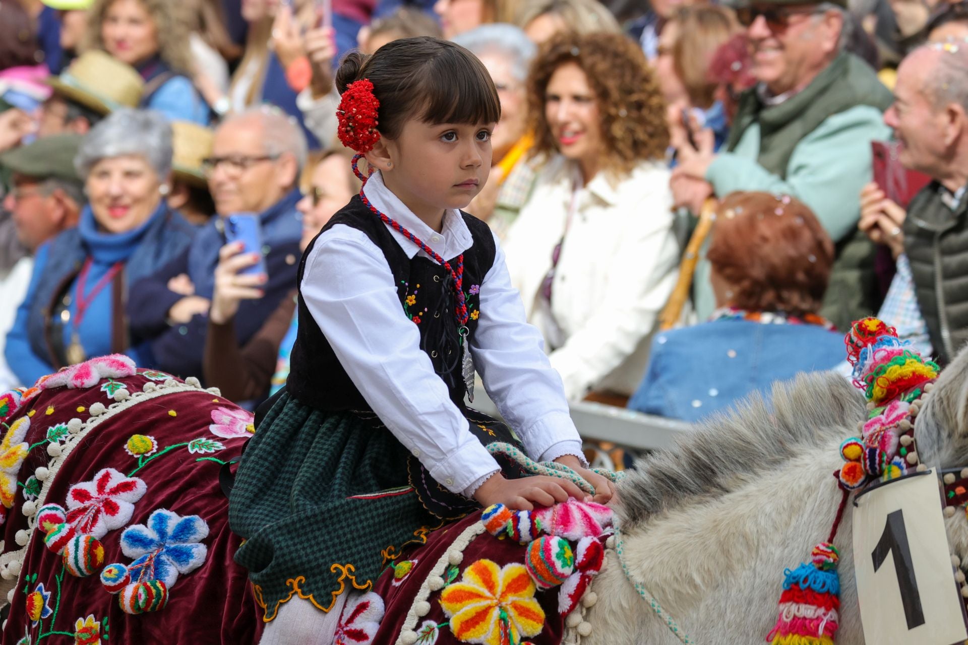 Fotos: Desfile de carrozas de la romería de Piedraescrita de Campanario
