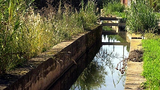La UEx propone nuevos materiales impresos en 3D para depurar el agua contaminada