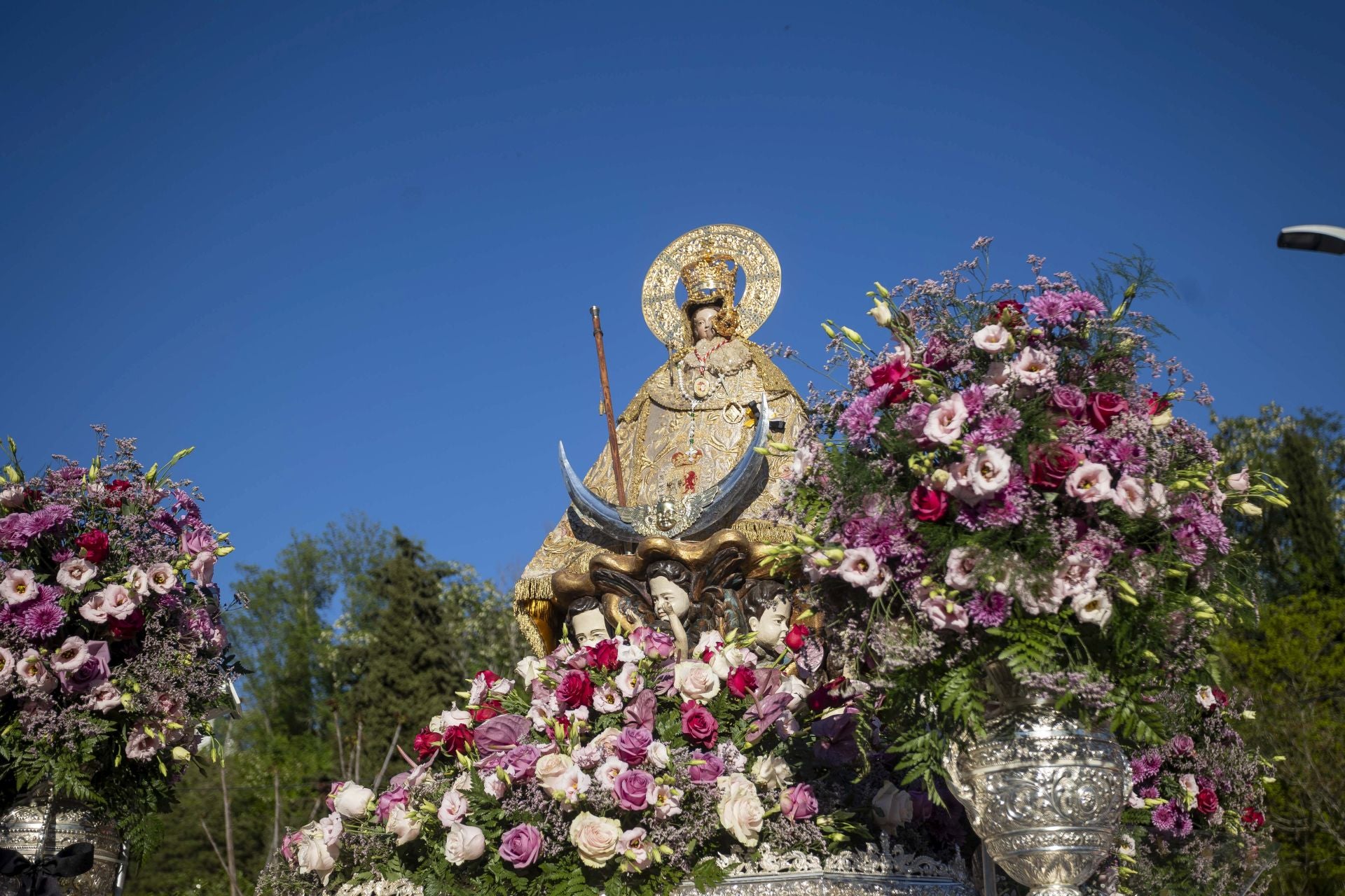La bajada de la Virgen de la Montaña a la ciudad, en imágenes